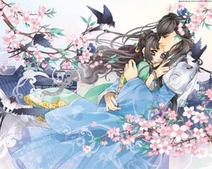 深入了解 含羞草Ifj11研究所入口